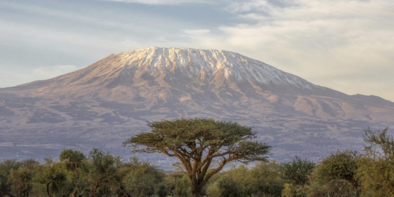 Outdoor Afro Takes Environmental Leadership to New Heights On Mount Kilimanjaro
