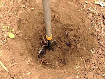The cultural resource management process close up, showing a hole 2 feet deep with shovel about to lift soil out in search of significant artifact clusters.