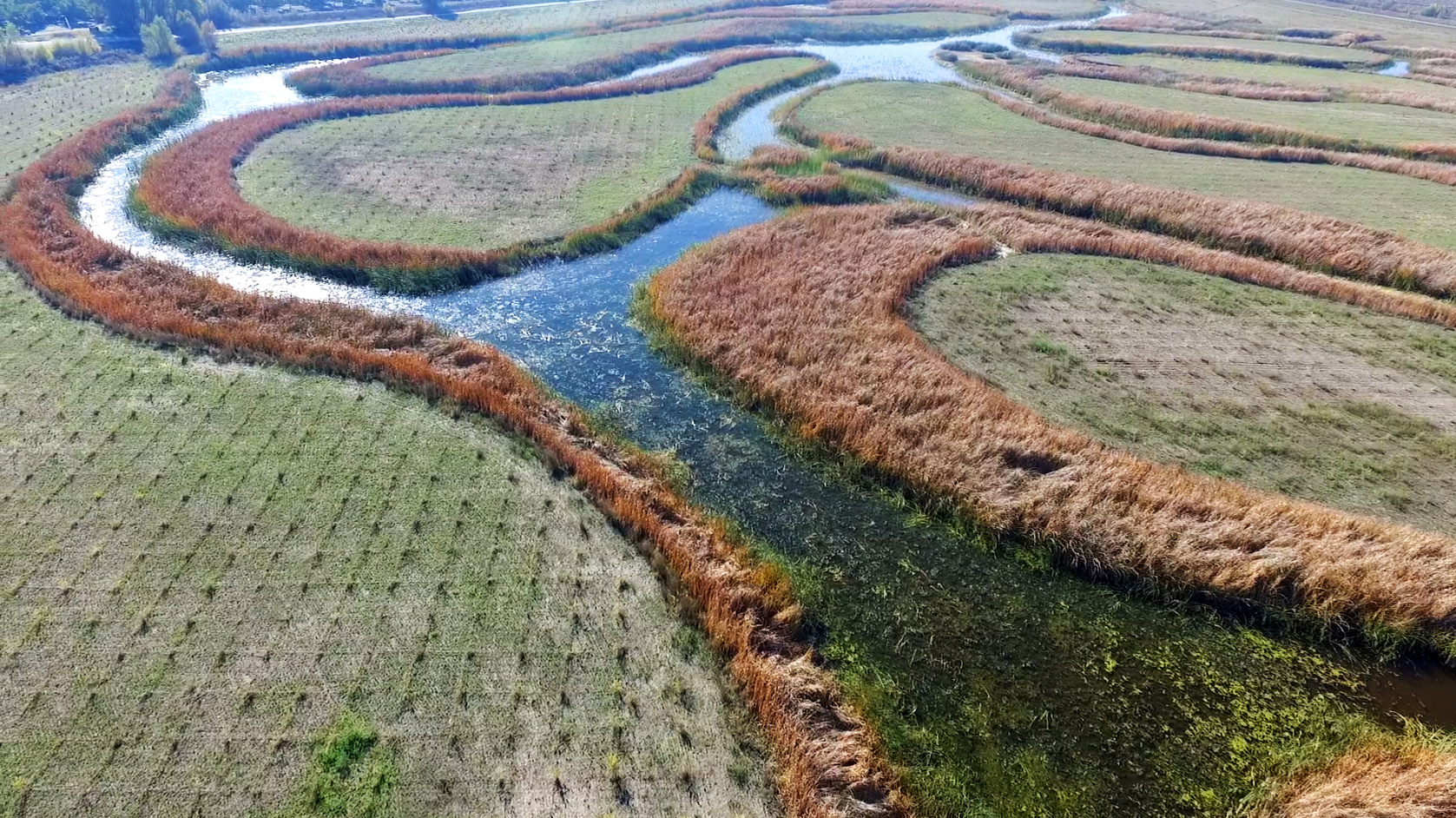 “Ecological Restoration Business Association” is more than just a name change.
