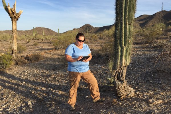 Female botanist using ipad to document locations of cacti on Arizona transmission line project.