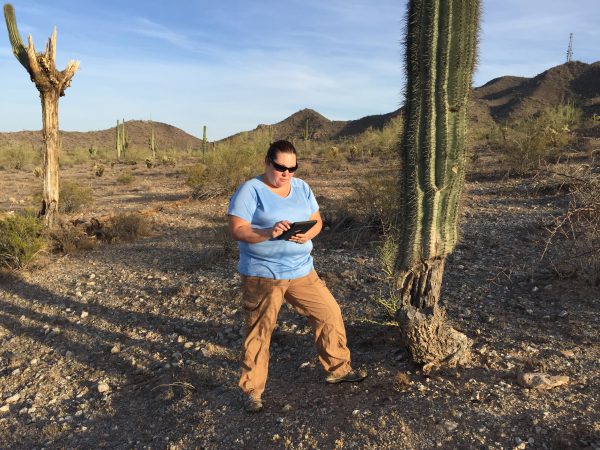 Female botanist using ipad to document locations of cacti on Arizona transmission line project.