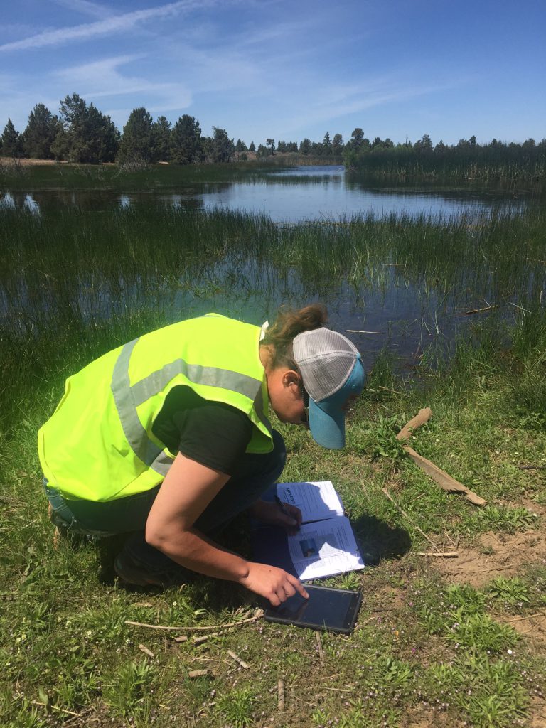 Female biologist in front of lake performing wetland dilineation using iPad and survey forms.