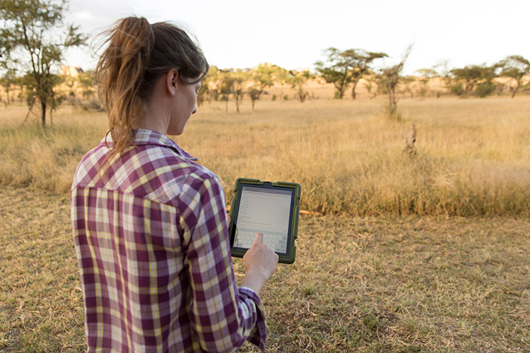 UCSB Doctoral researcher, Lacey Huey holds ipad with Wildnote custom survey form to document data on wildebeests in Tanzania.