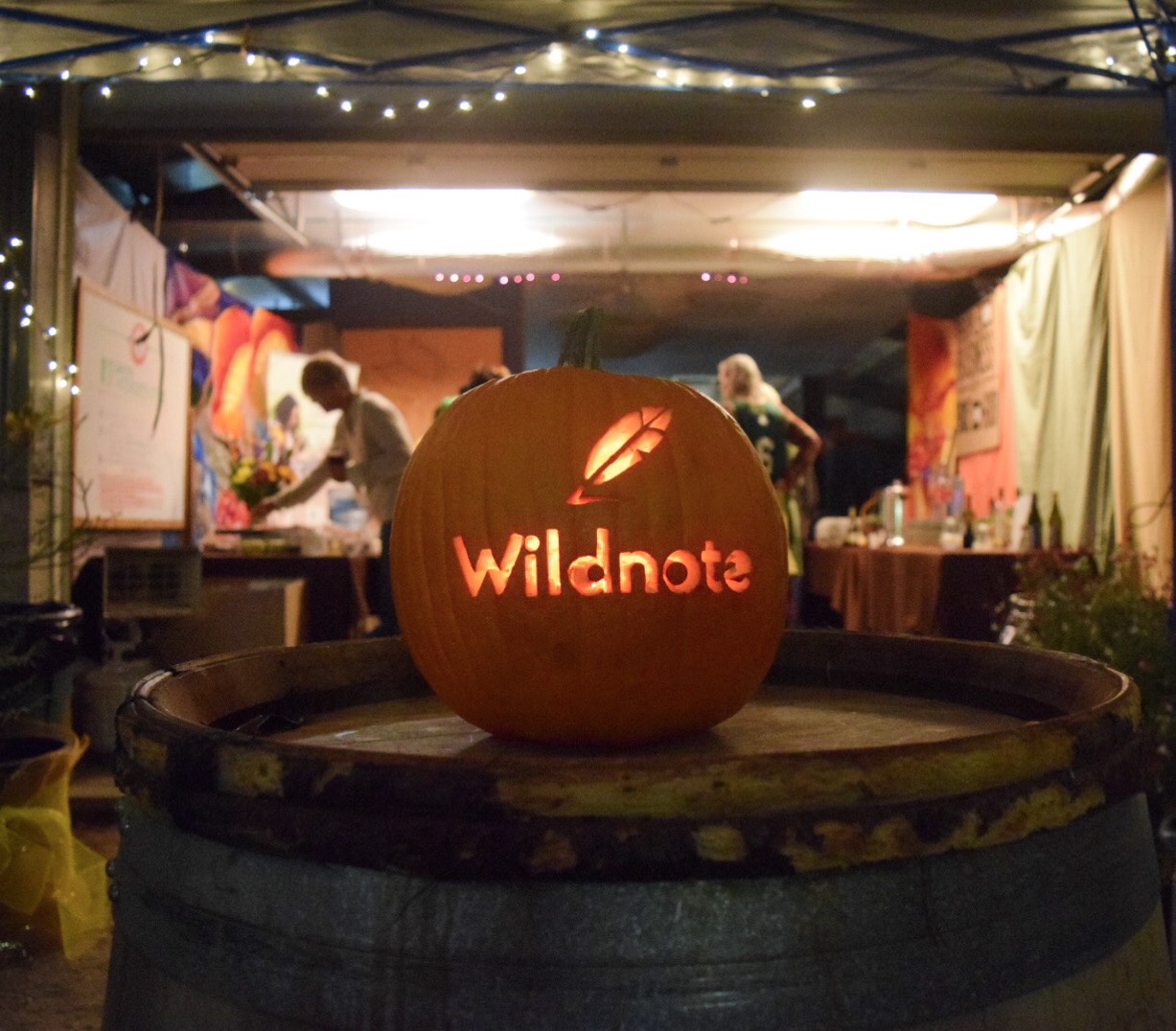 A lighted pumpkin carved with the word wildnote and the company's feather logo 