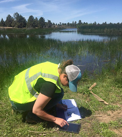 Woman in bright safety vest crouching by lake with both ipad and note book.