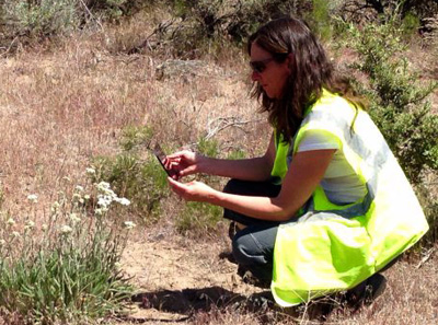 Young woman in bright safety vest photographs flowering plant with ipad.