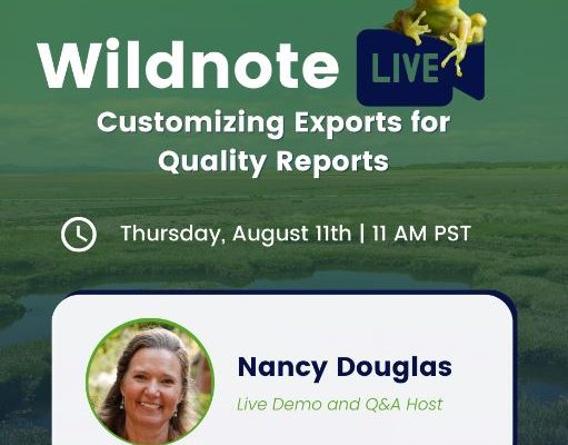 wildnote live image for customizing exports