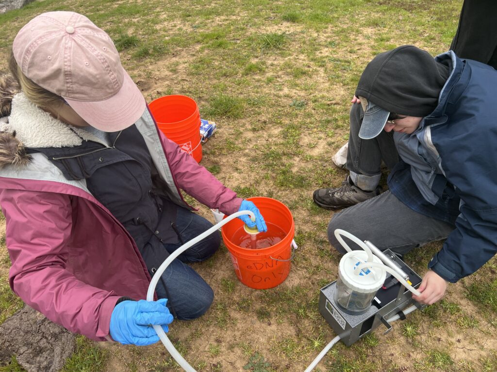 Two people are sampling water with a red bucket and filtration tube to extract a water sample for eDNA testing.